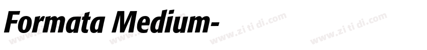 Formata Medium字体转换